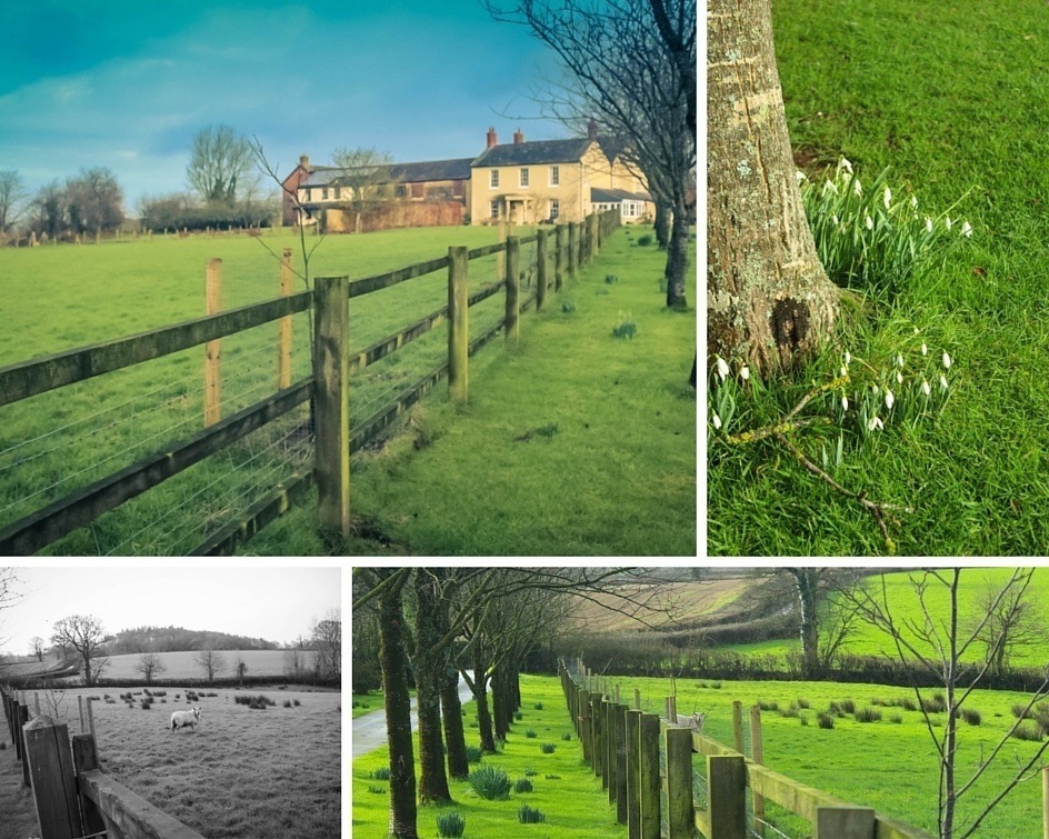 Collage of Larkebear Grange, Devon