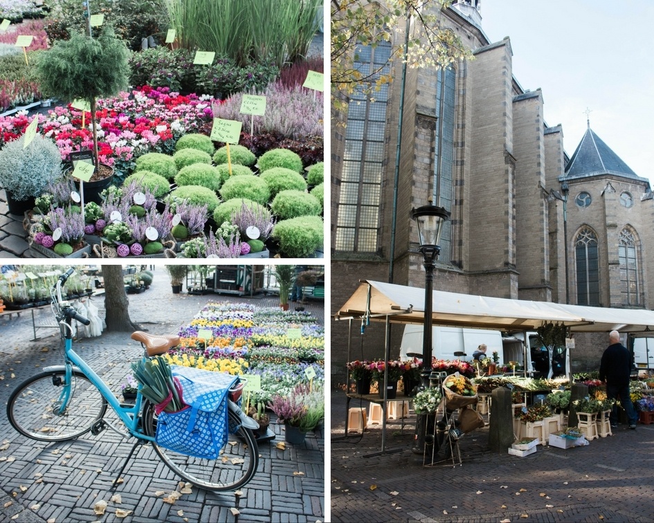 Utrecht flower market