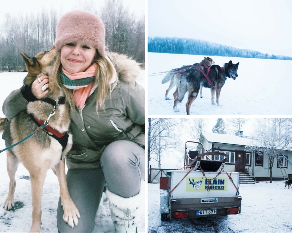 Gegwen Huskies in Lempaala Finland