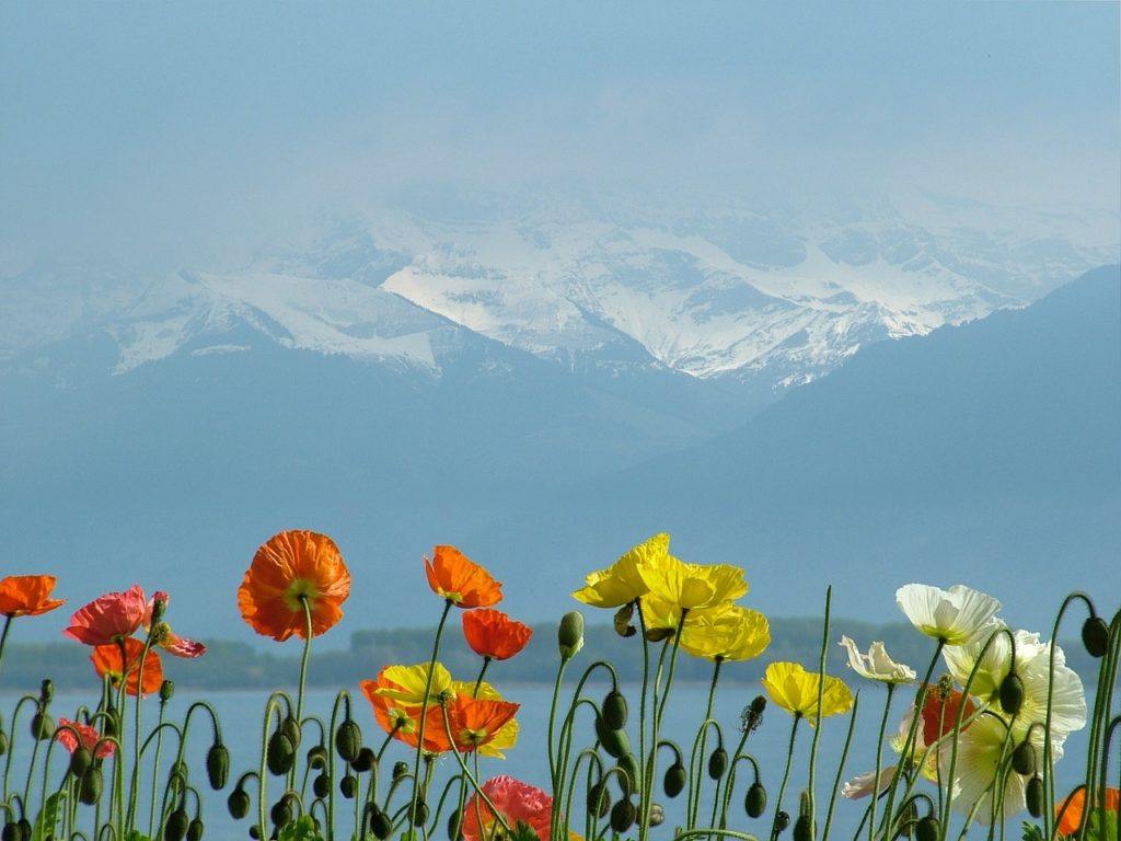 Lake Geneva in Switzerland 