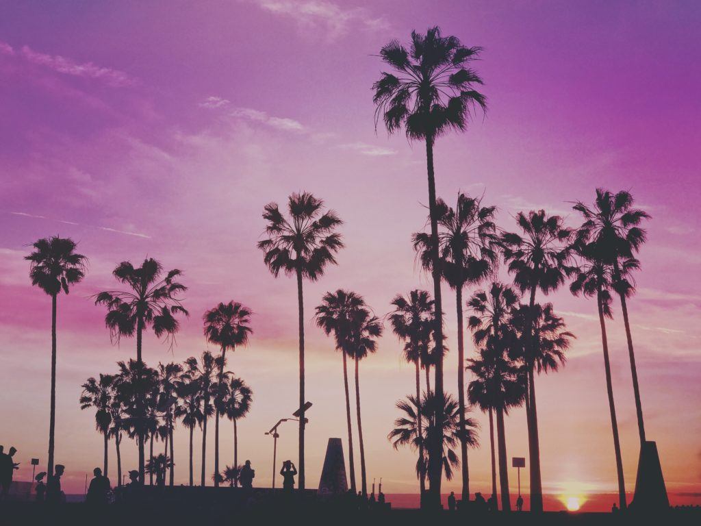 Palm trees on a beach with a purple sky