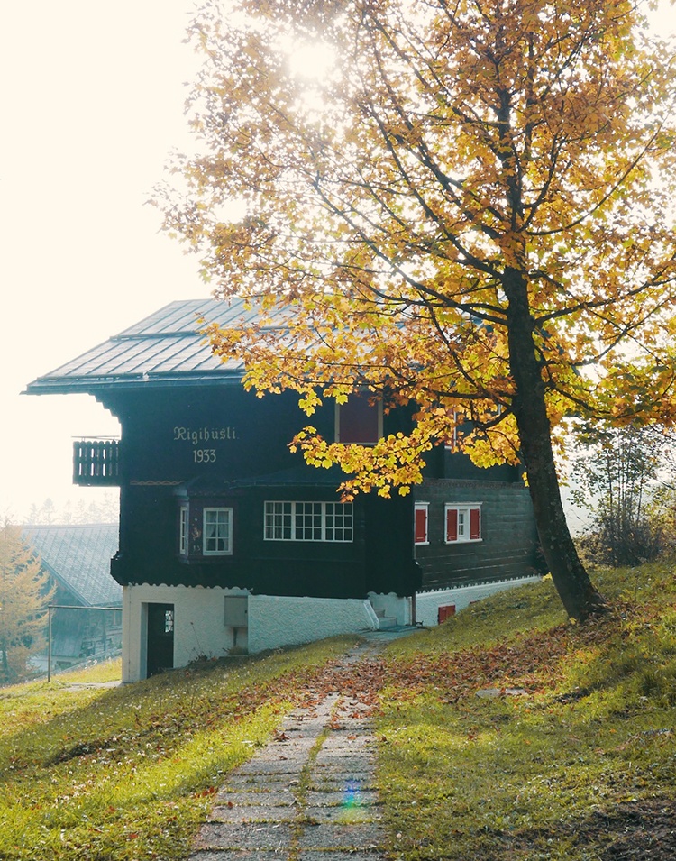 Swiss-House