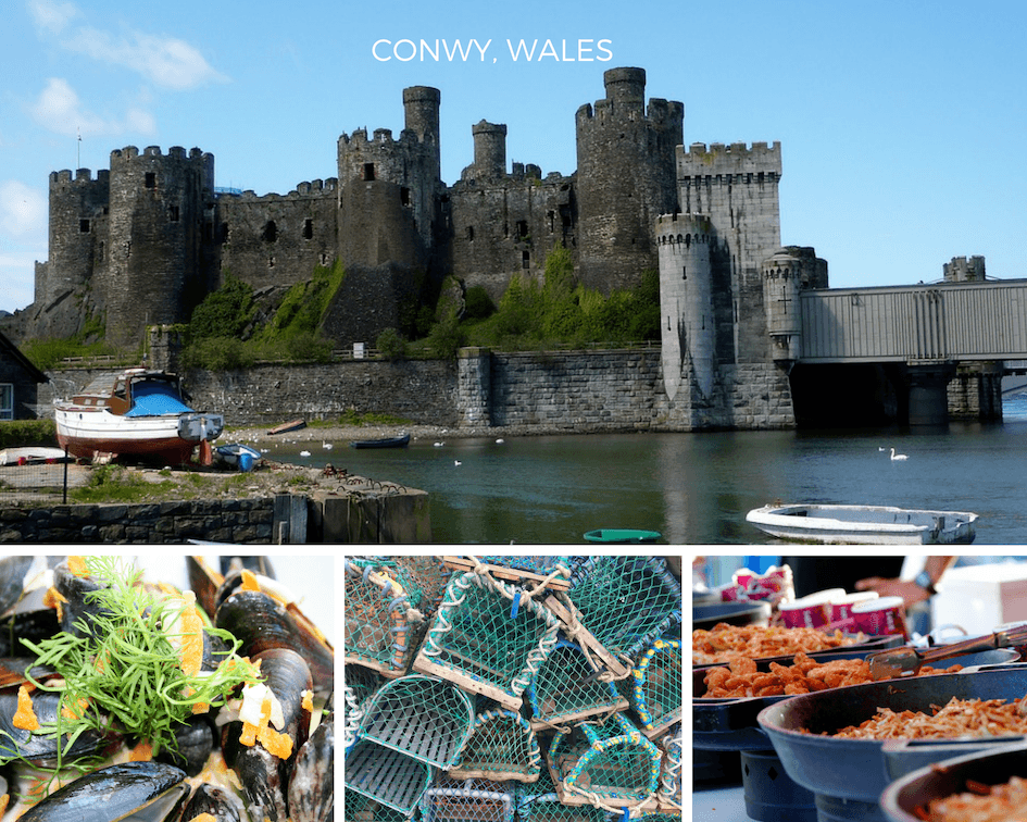 Conwy Food festival images Conwy Food festival images