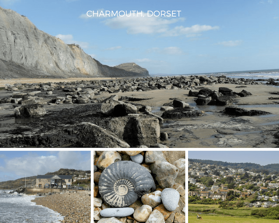 Charmouth beach and fossils in Dorset Charmouth beach and fossils in Dorset