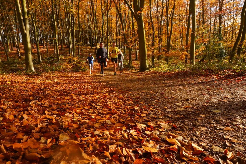 steve cram running camp - detox retreats