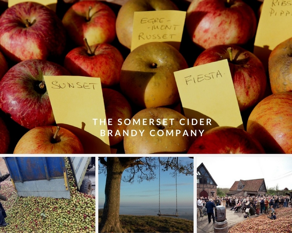 Somerset Cider Company Apples in October Holidays Somerset Cider Company Apples in October Holidays
