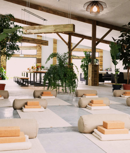 Cabilla_Retreats_Wild_CalmSlider_2.12-444x524-1 Cabilla_Retreats_Wild_CalmSlider_2.12-444x524-1