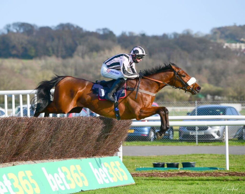 Steeplechase at Newton Abbot