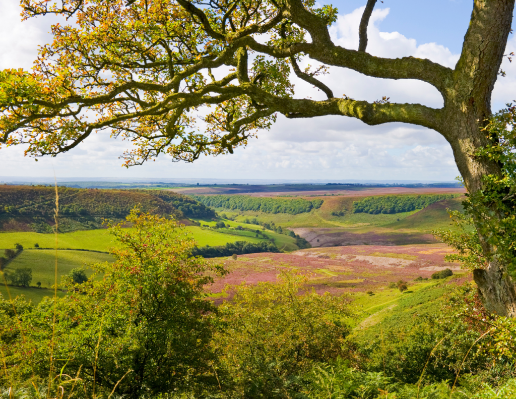 things to do north york moors - hike the hole of holcrum