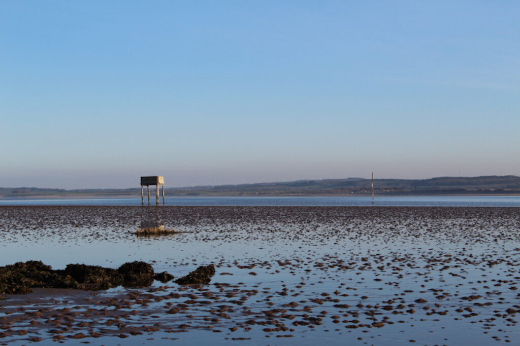 Visiting-Holy-Island - mudflats