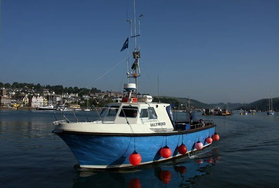 saltwind of Dart on River Dart