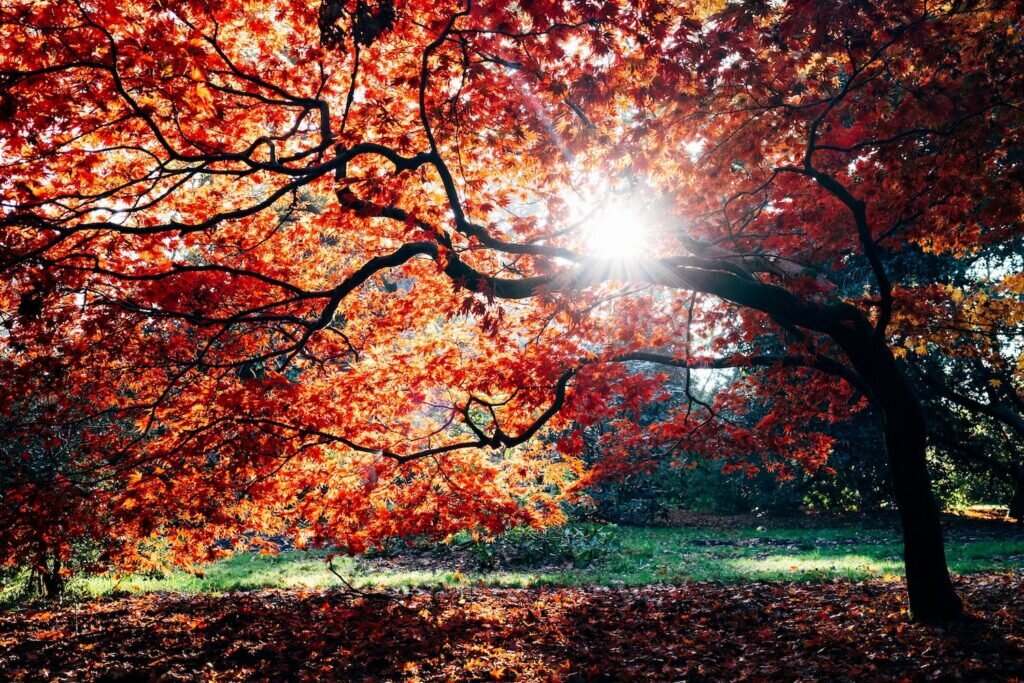 autumn-uk-break-1024x683