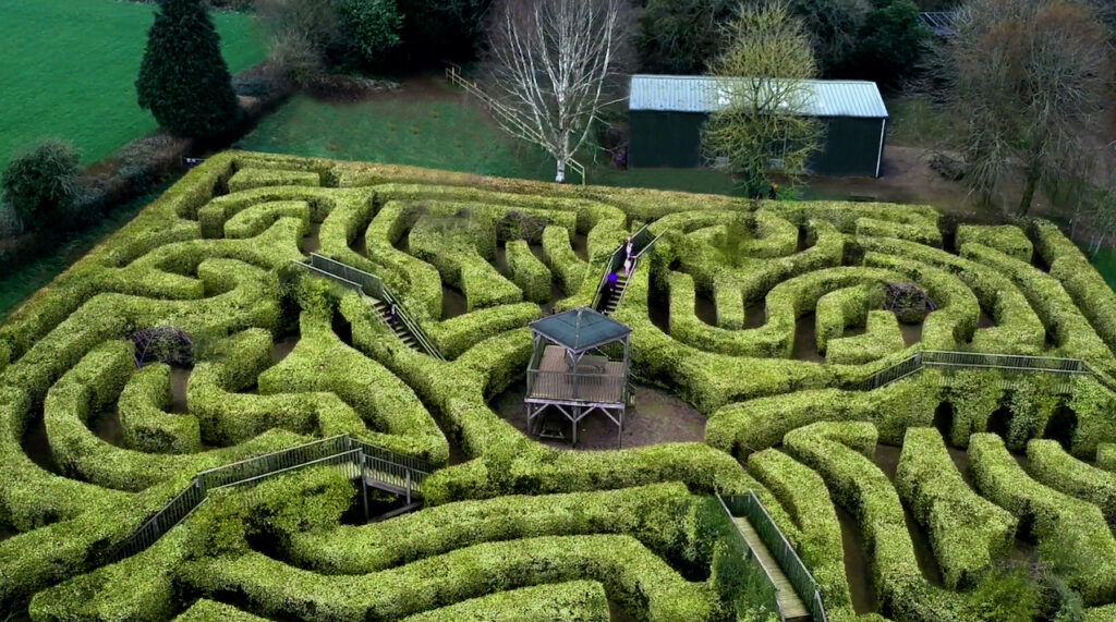 Maze at Wildwood Escot