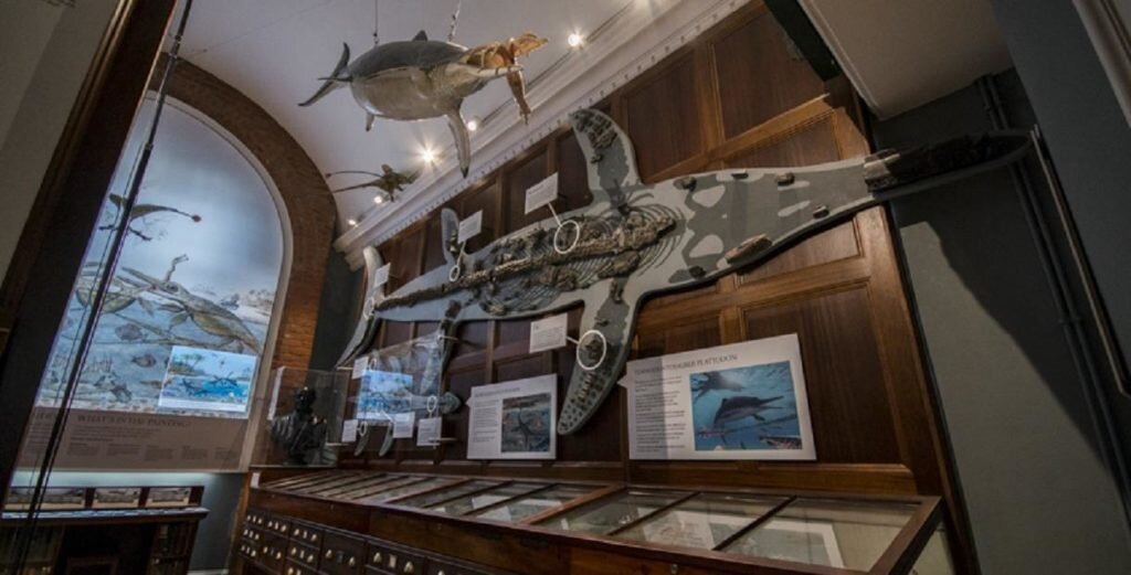 Things-to-do-in-lyme-regis Museum Inside