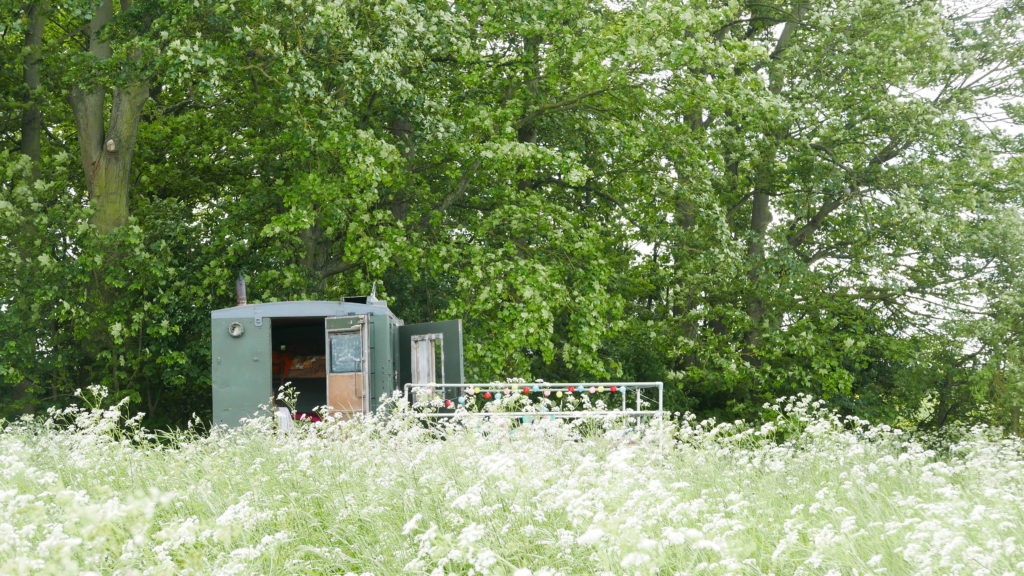 Mad Dogs glamping in the Forest of Dean - Monty Mad Dogs glamping in the Forest of Dean - Monty