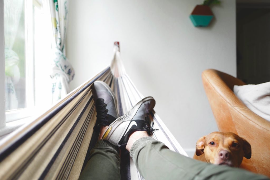 drew-coffman-DzIt-fTYv4E-unsplash-1024x683 drew-coffman-DzIt-fTYv4E-unsplash-1024x683