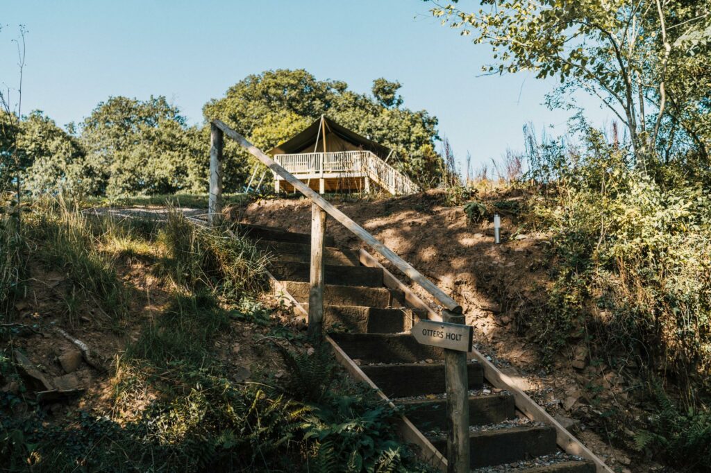 exe valley safari tent devon - steps to tent