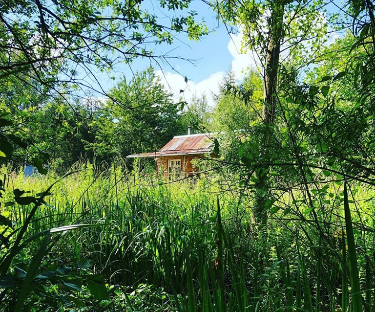 Albion Nights log cabin in norwich, norfolk - view across the meadow