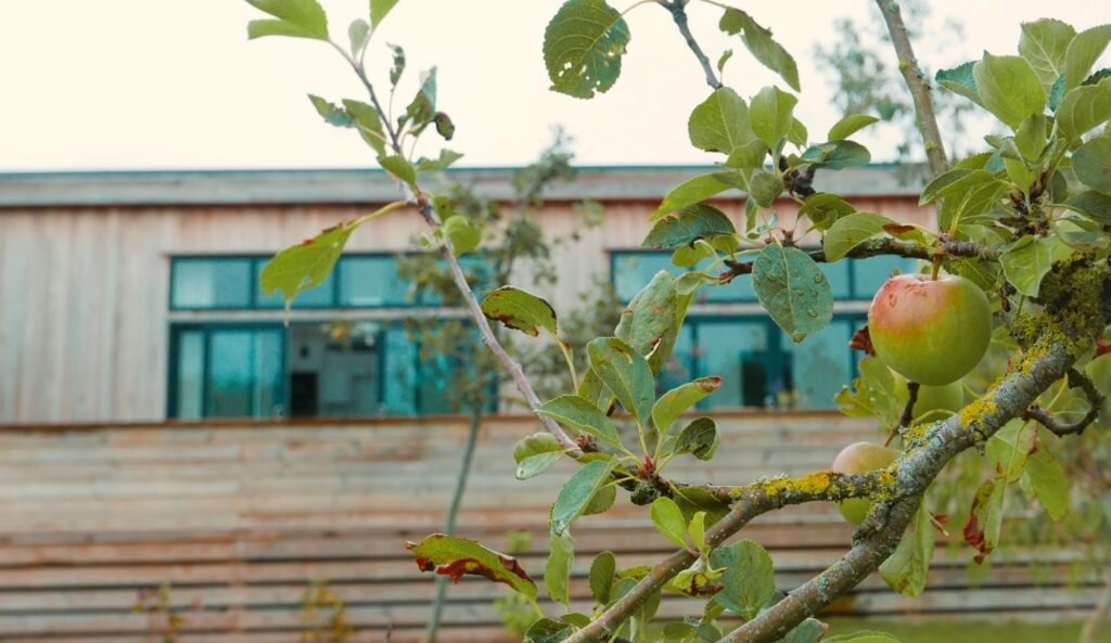 Strawberryfield Eco Lodges in Somerset - exterior and apple in orchard
