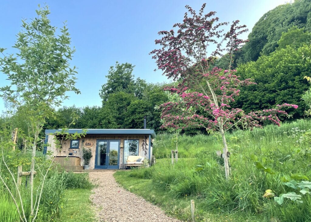 The roost glamping cabin forest of dean