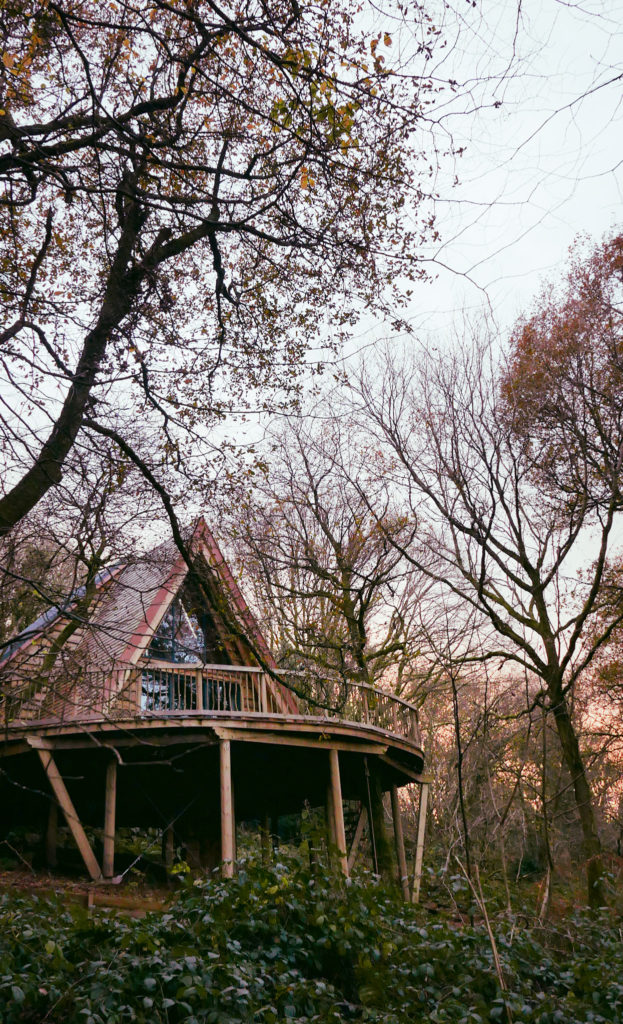 Hudnalls Hideout - treehouse to stay in, Wye Valley
