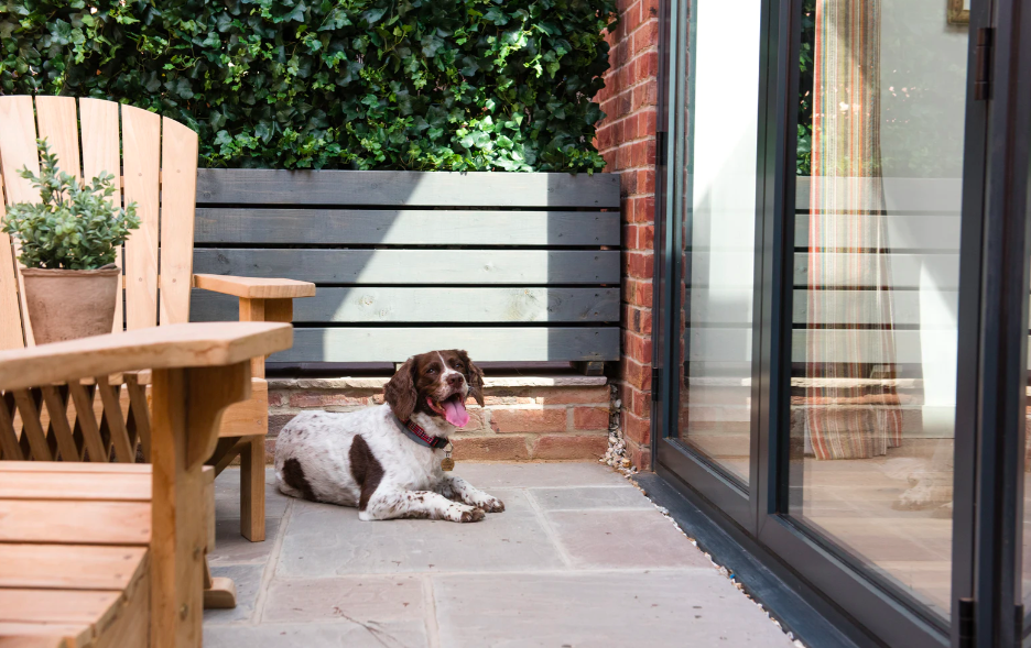 eastbury hotel in sherborne - terrace and dog