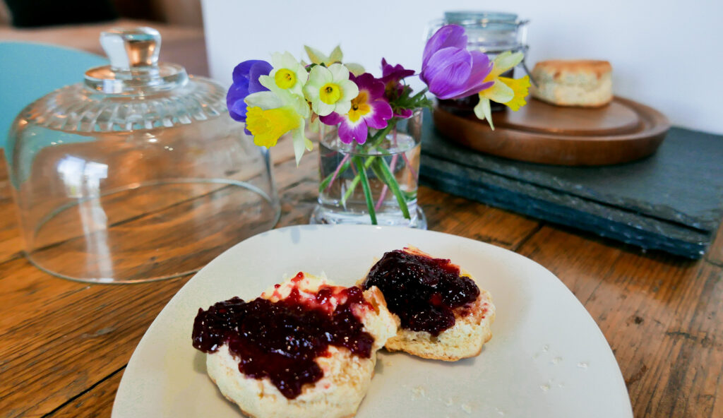 the-roost-glamping-in-forest-of-dean-kitchen