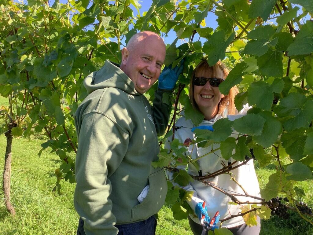 White castle vineyard in Wales: vineyard tour