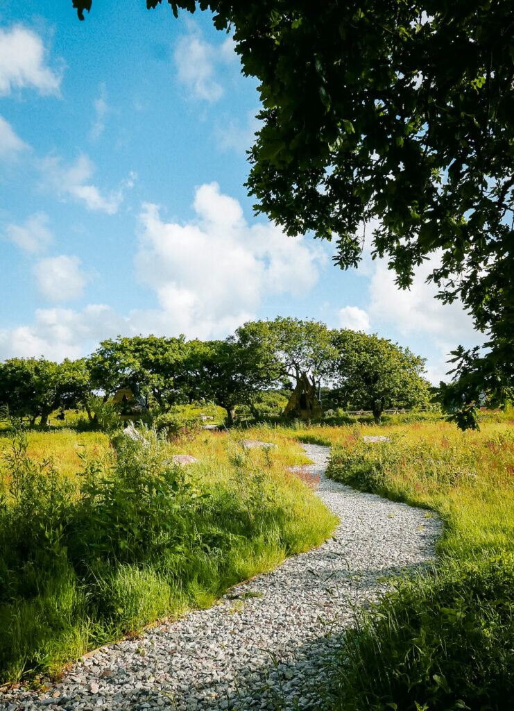 Cabilla Cornwall wellness retreats woods