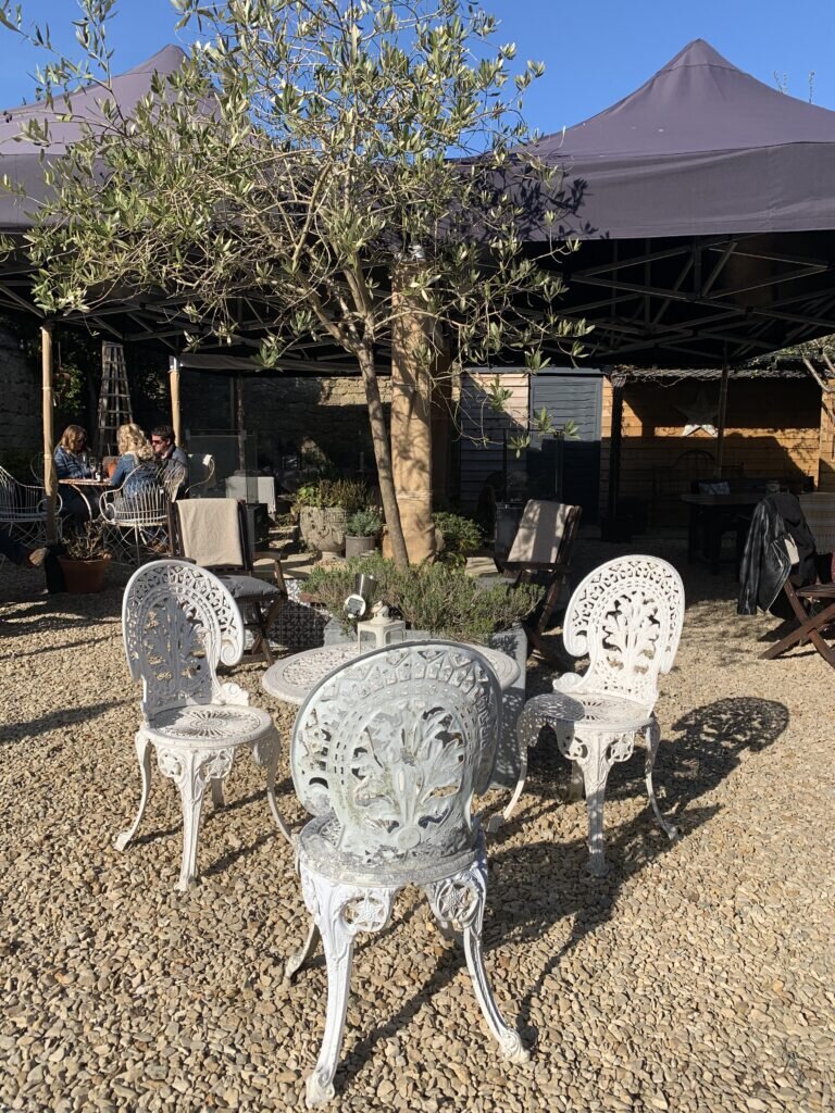 dark-bear-bridport-potting-shed: garden