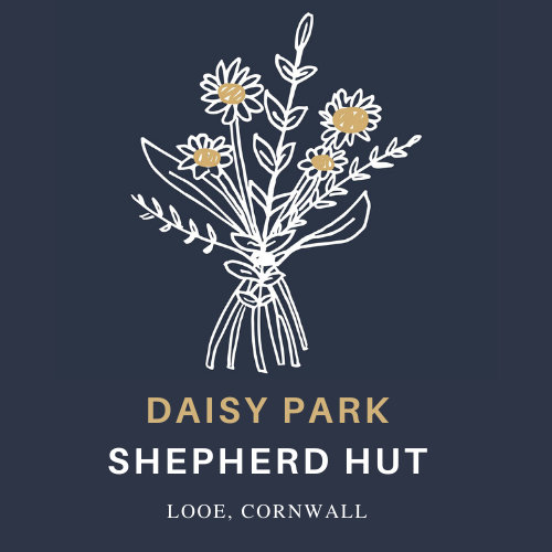 glamping-looe-daisy-park-hut glamping-looe-daisy-park-hut