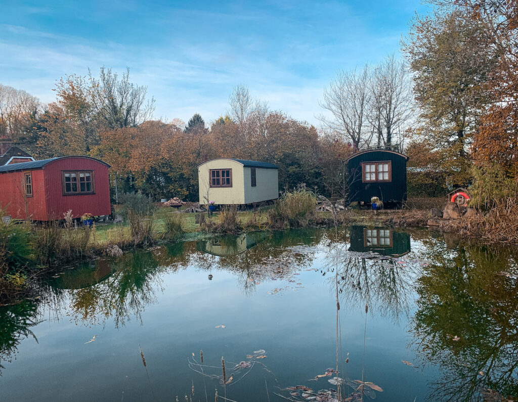 the-merry-harriers-pub-hambledon-surrey shepherds huts