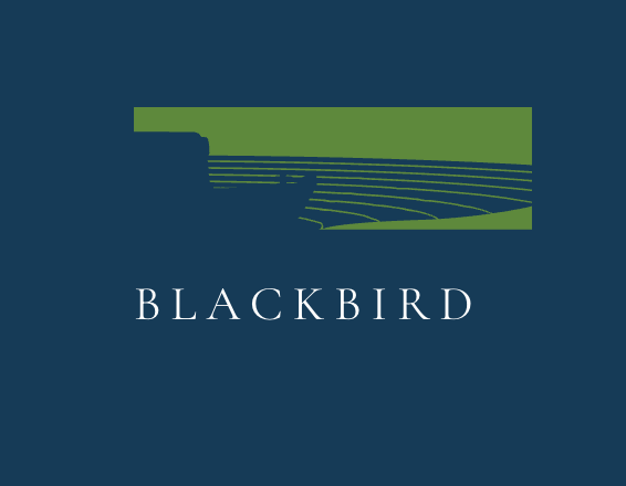 blackbird houseboat devon - logo