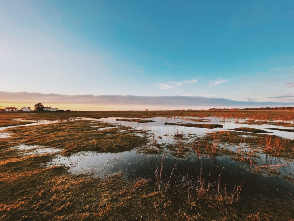 fenlands in suffolk at dusk