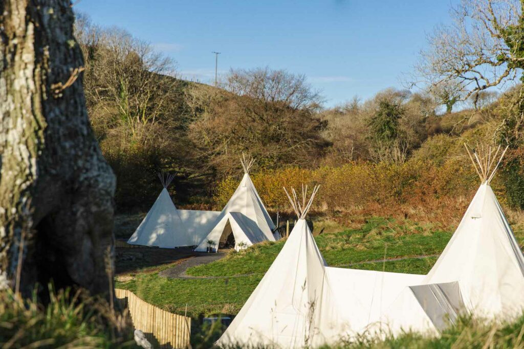 harta-retreat-luxury-glamping-barnstaple: 2 tipis in meadow