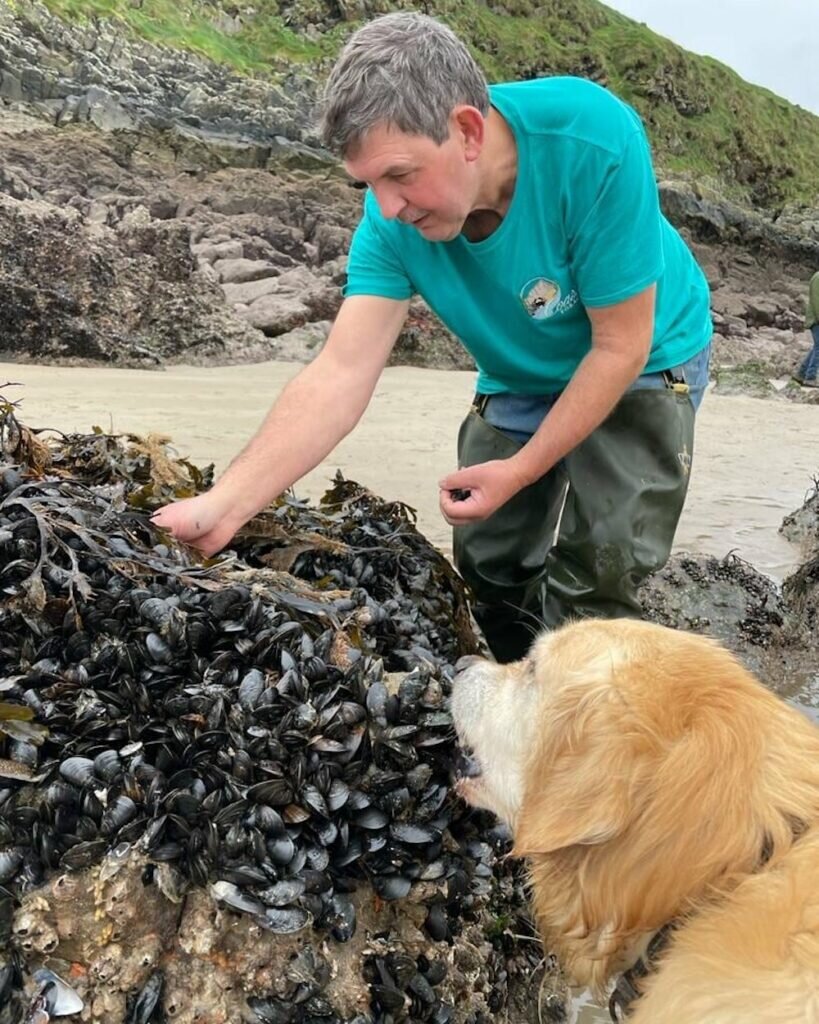 llansteffan beach foraging with Craig Evans