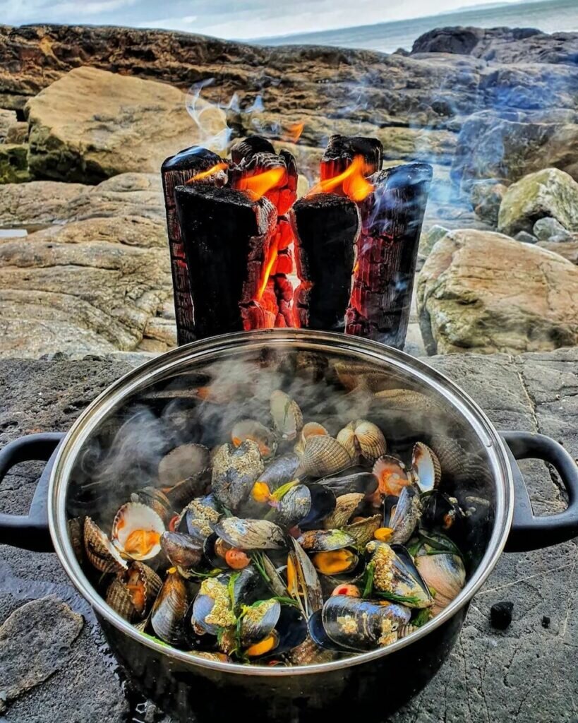 llansteffan beach foraging with Craig Evans