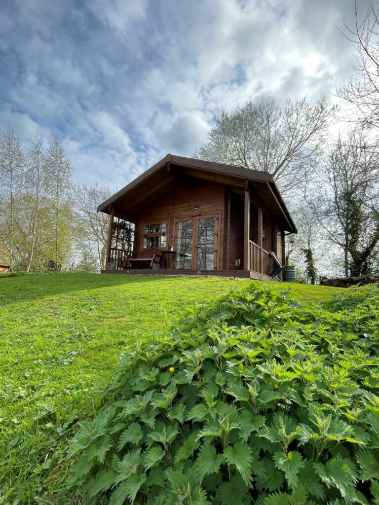 glamping near York - acorn glade - bluebell lodge