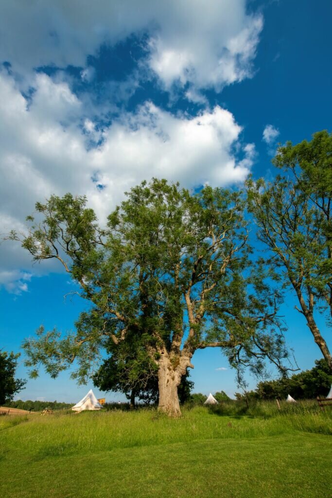 hen party glamping big skies glamping site cotswolds