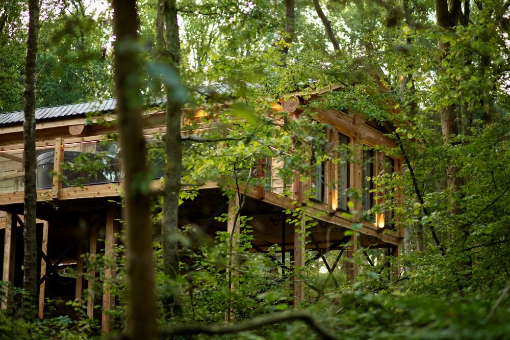 woodland park lodges dog-friendly treehouses: exterior
