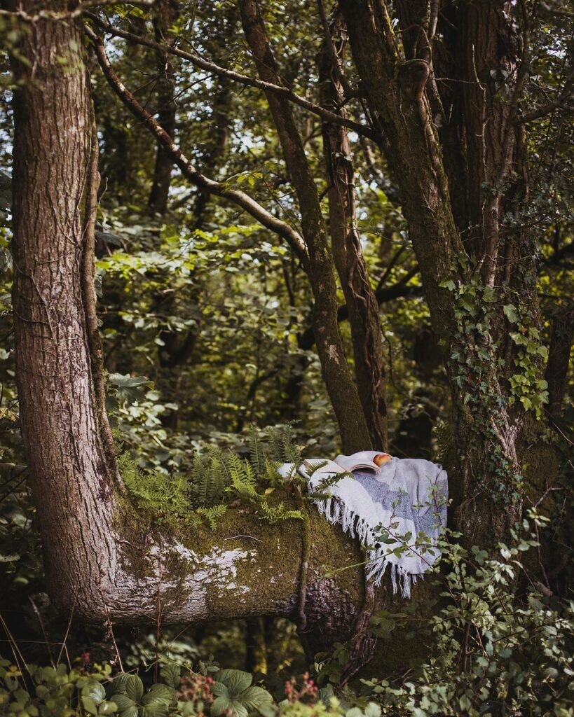 Yurt in Wales: tree seat at The Welsh Farm