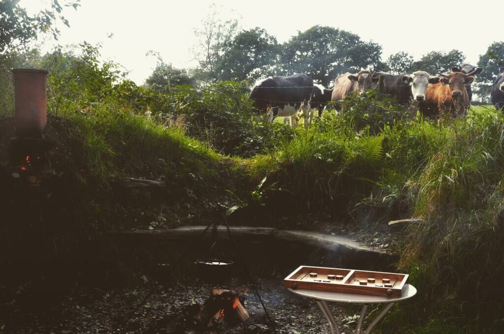 Yurt in Wales: fire pit at The Welsh Farm